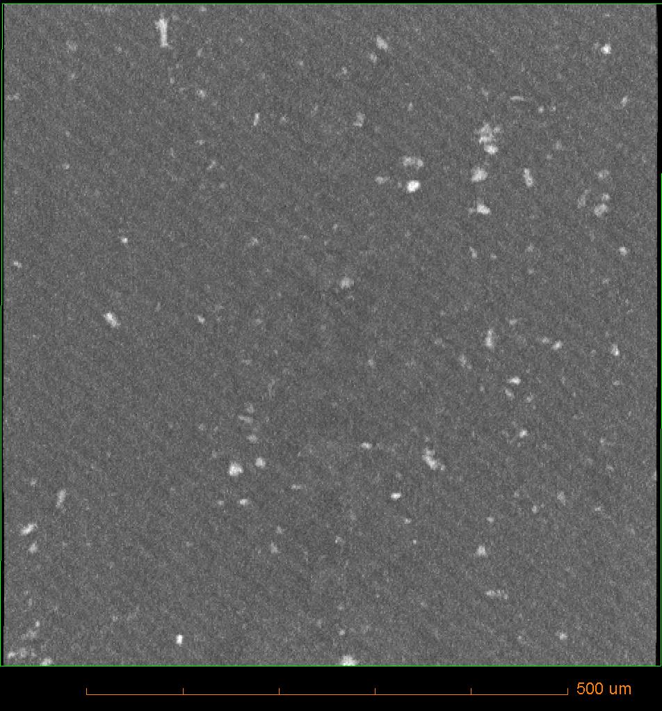 Fig. 17 Virtual section through a μct tomograph of a particulate-contaminated butt fusion specimen